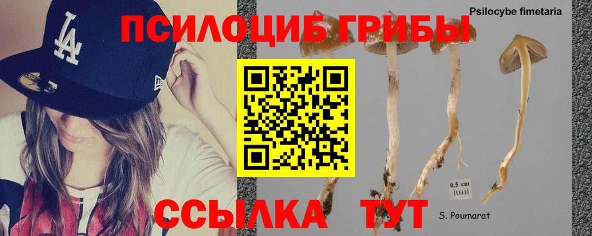 Псилоцибиновые грибы MAGIC MUSHROOMS  Псилоцибиновые грибы мицелий  Вход с VPN  Кыштым 
