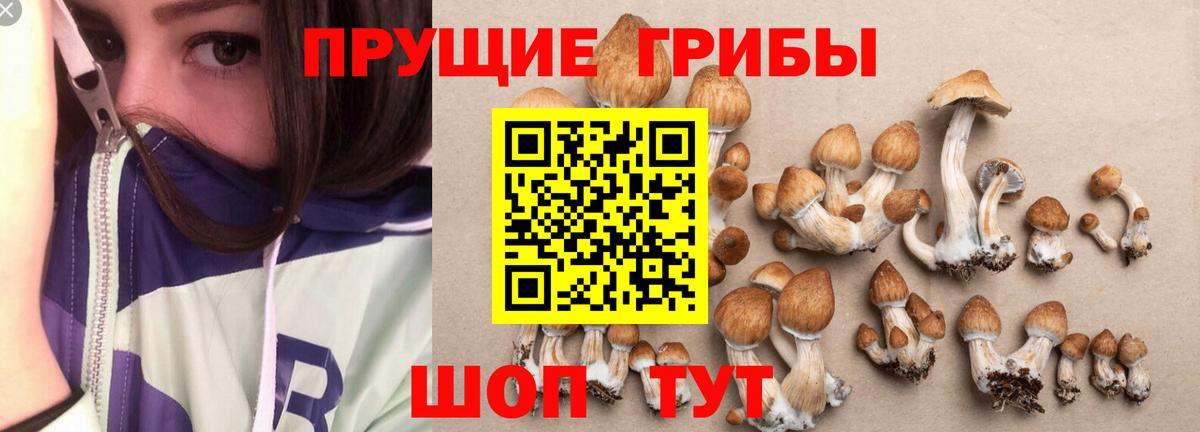 Псилоцибиновые грибы мухоморы Кыштым
